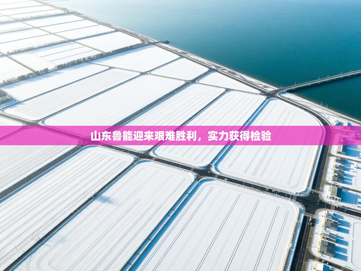 山东鲁能迎来艰难胜利,实力获得检验 第1张